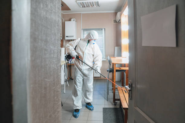 Asbestos and Lead Testing During Mold Inspection in Thonotosassa, FL